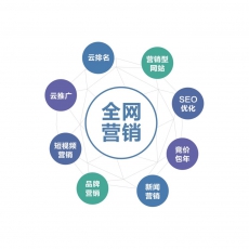 数智营销企业管理渠道推广